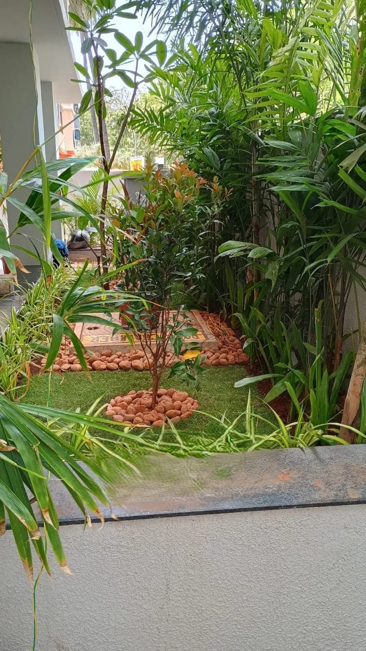 Gallery 7